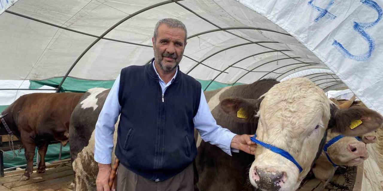 Kurban Pazarında Satışlar Hızla Devam Ediyor