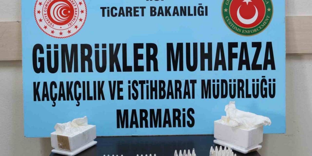 Yavru Tarantula Siparişi Verdi, "biyoloji Dersi" İçin Dedi