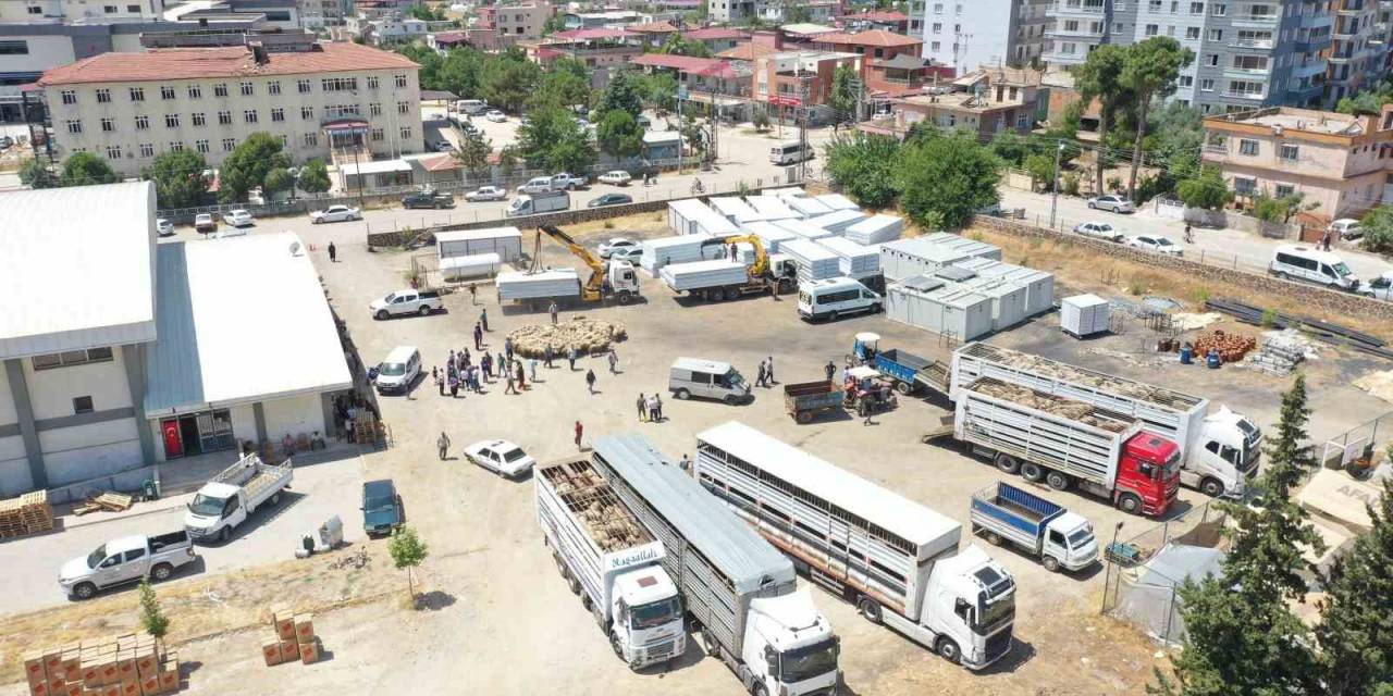 Depremde Hayvanları Telef Olan Üreticilere Tarım Ve Orman Bakanlığından Destek
