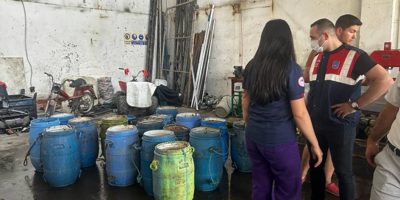 Yasadışı Yollarla Avlanan Deniz Patlıcanları Denize Salındı