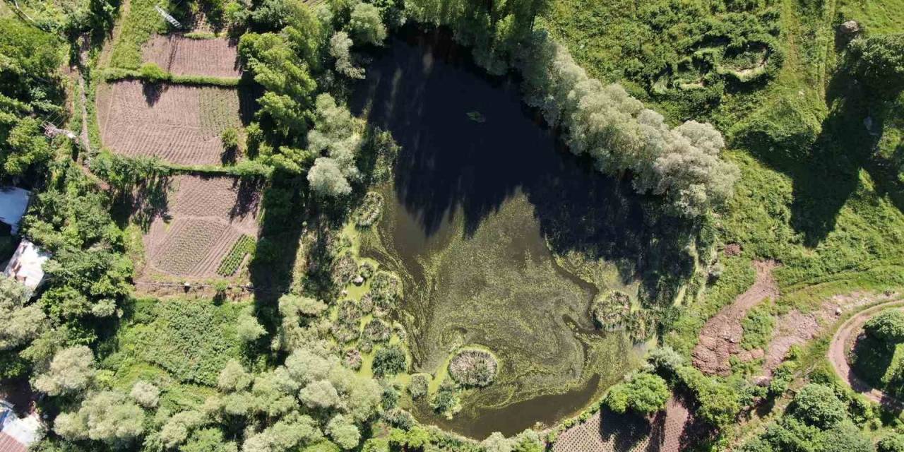 Yüzen Adacıklar Keşfedilmeyi Bekliyor