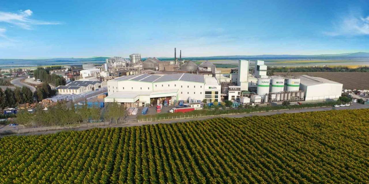 Sunar’ın Şirketleri Yükselmeye Devam Ediyor