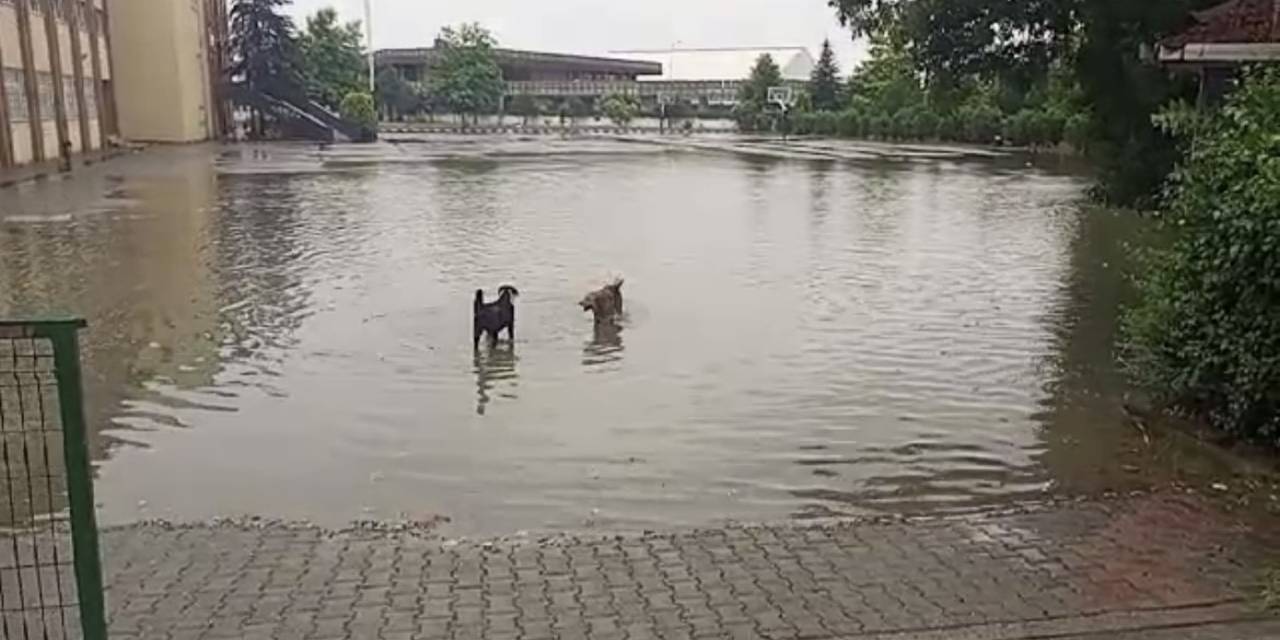 Yolu Su Bastı, Esnaf İse Sandalyesini Alıp Keyif Yaptı