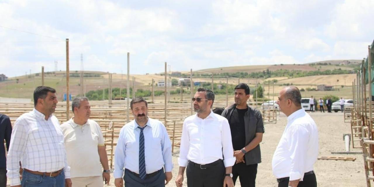 Başkan Şerifoğulları, Kurban Satış Ve Kesim Alanında İncelemelerde Bulundu