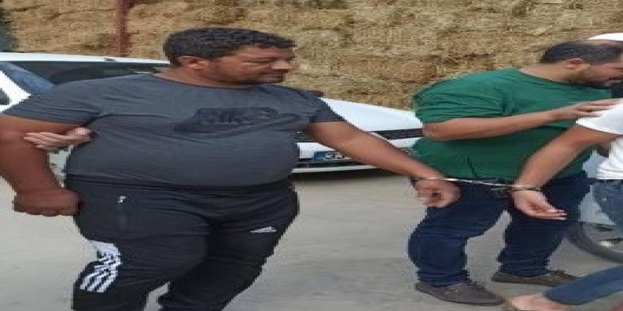 İneğe İçki Şişesinde Sıvı Veren Şahıs, Önceki Hapis Cezası Nedeniyle Tutuklandı