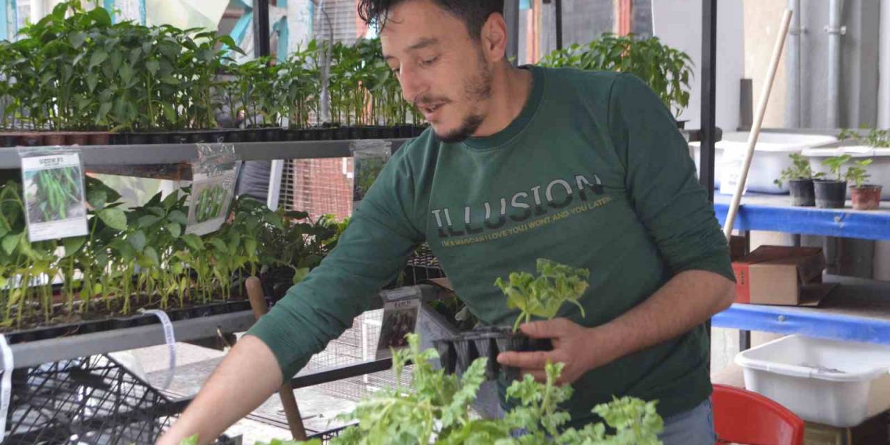 Tavşanlı’da Havaların Isındı, Fide Satışları Arttı