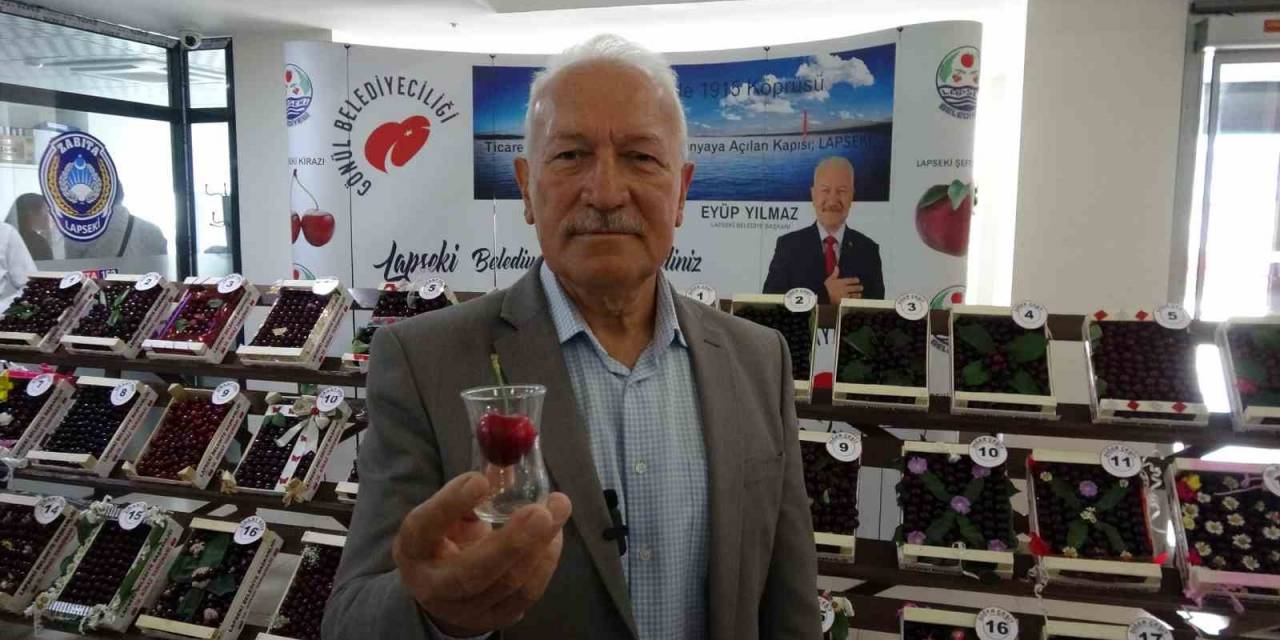 Lapseki’nin Bardağa Sığmayan Şampiyon Kirazı Belli Oldu