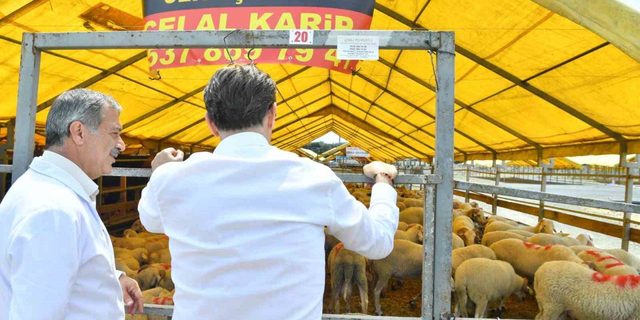 Bahçelievler Belediyesi Kurban Bayramı Hazırlıklarını Tamamladı