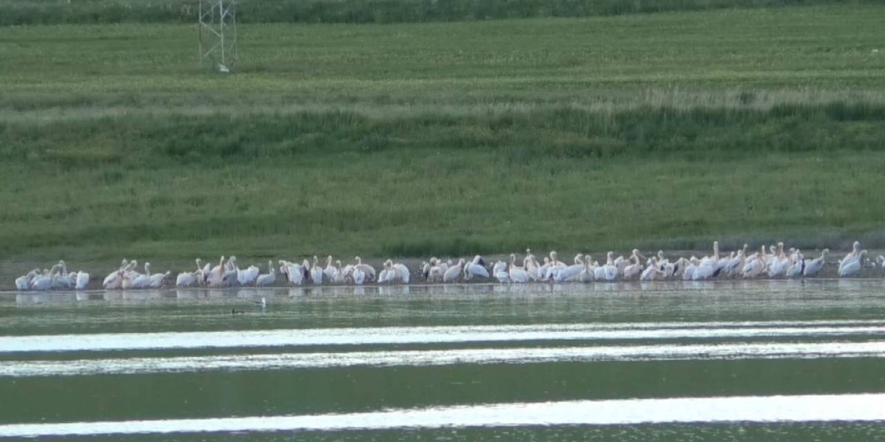 Kars’ta Belgeselleri Aratmayan Görüntüler