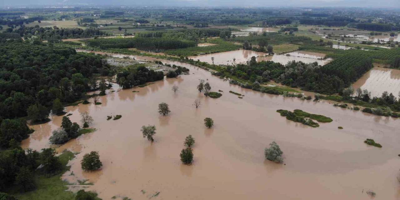 Efteni Gölü Yağışlar Sonrası Taştı