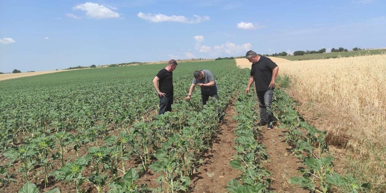 Dolu Yağışından 11 Köyde 16 Bin Dekar Tarım Arazisi Etkilendi