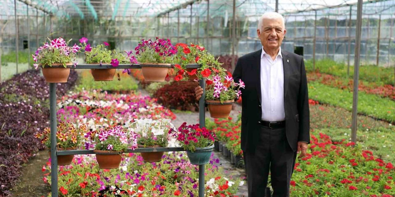 Büyükşehir Destekliyor, Muğla’nın Kadınları Çiçek Üretiyor