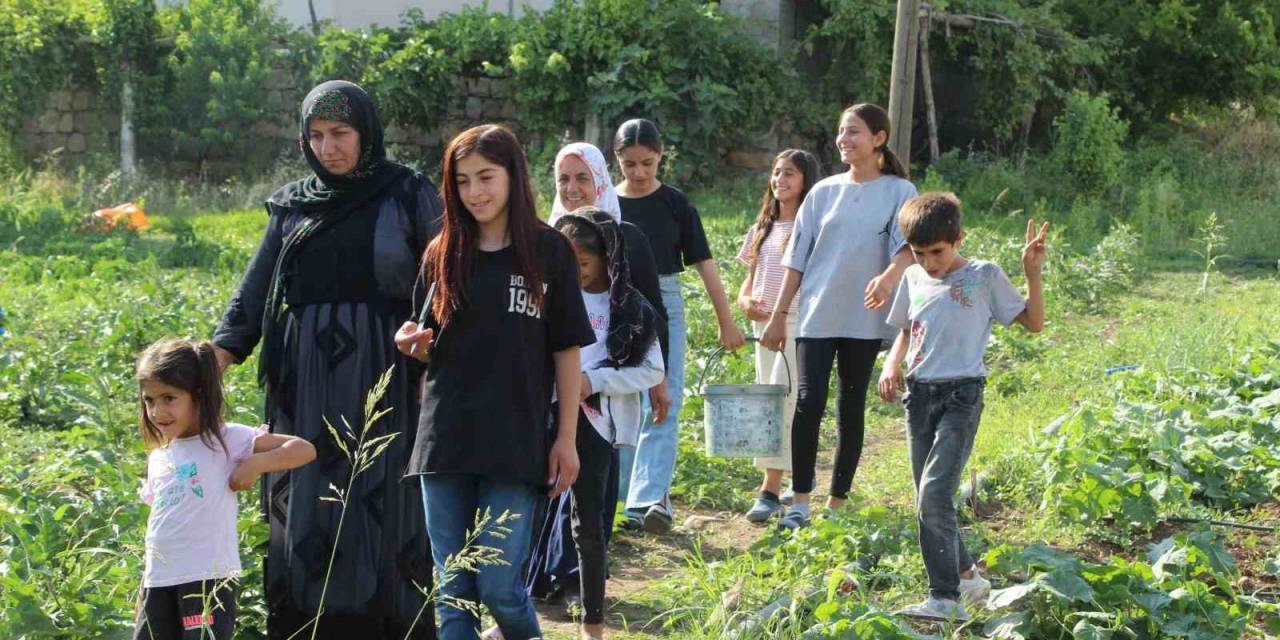 Şırnak’ın Sebze İhtiyacını Karşılamak İçin Harekete Geçildi