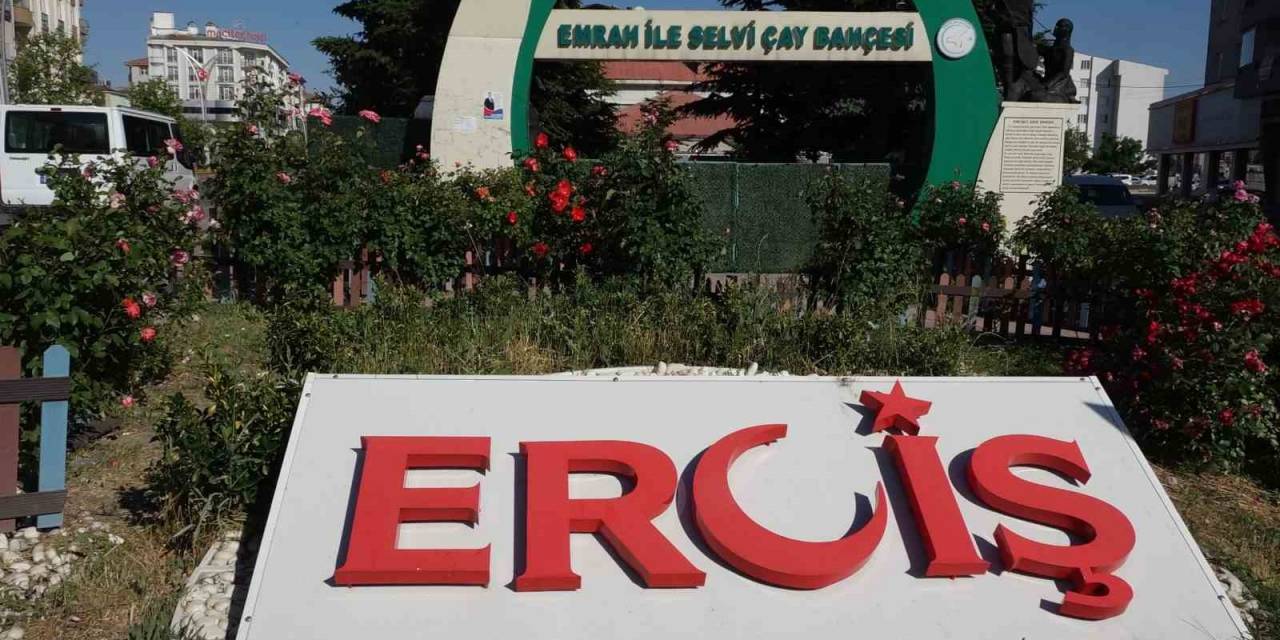 Erciş’te İl Olma Heyecanı