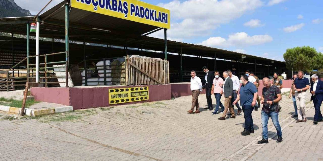 Manisa’da Kurban Satış Ve Kesim Yerleri Belirlendi