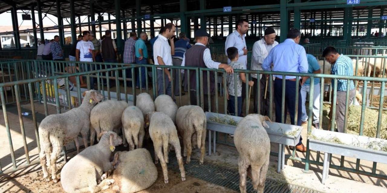 Salihli’de Kurban Kesim Ve Satış Yerleri Belli Oldu