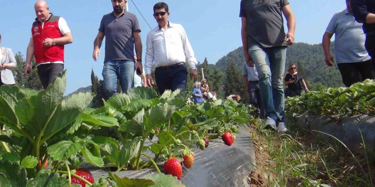 Meslek Liselilerden Tarımsal Üretime Destek