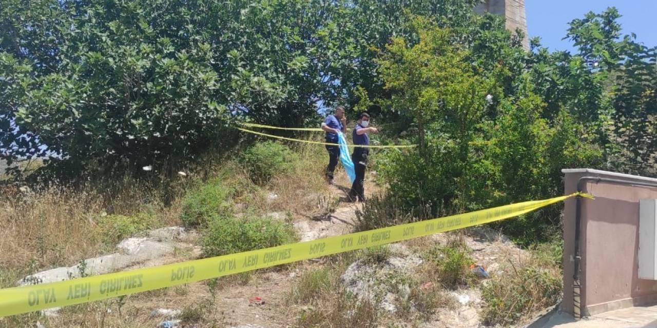 Ağaçların Arasında Ölü Bulunmuştu, Cinayete Kurban Gitmiş