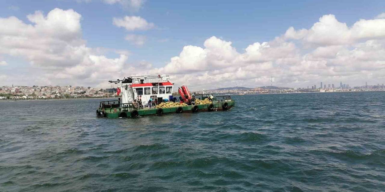 70 Ton Kaçak Midye Ele Geçirildi, 1 Milyon Lira Para Cezası Kesildi