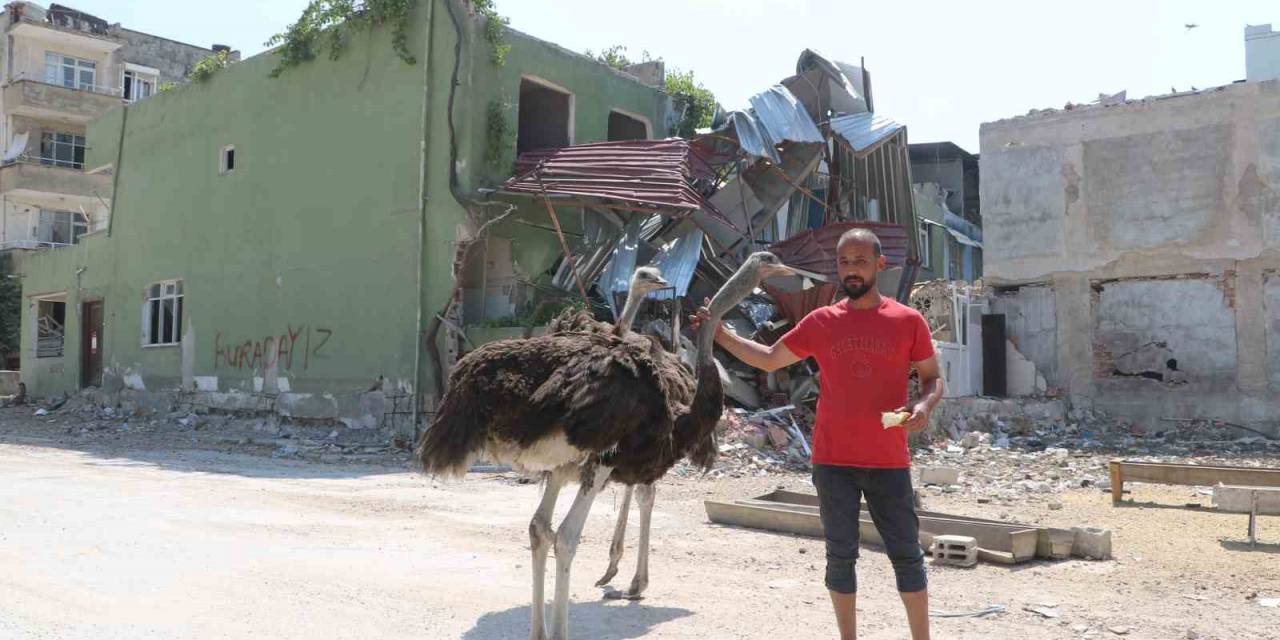 Enkaz Kentte İlginç Görüntü, Başta Kimse Nereden Geldiklerini Anlayamadı