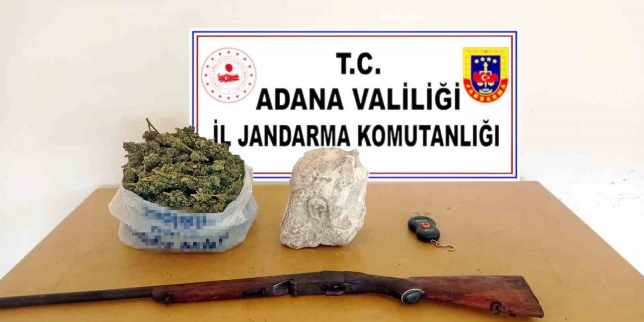 Narenciye Bahçesini Kenevir Tarlasına Çevirmişler