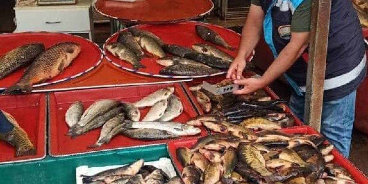 Beyşehir’de Balık Boy Denetimleri