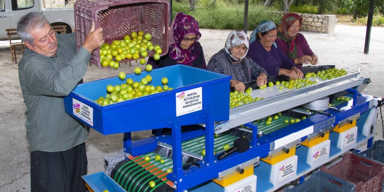Mut’taki Erik Üreticisine Boylama Makinesi Desteği