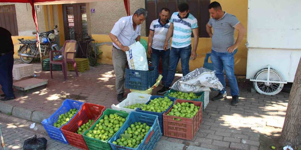 Pazarda Sinekli Meyvenin Kilosu 40 Tl’den Alıcı Buluyor