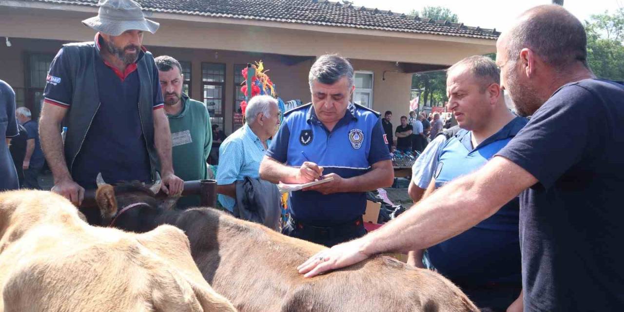Hayvan Sağlığı Ve Evrak Denetimi Yapıldı