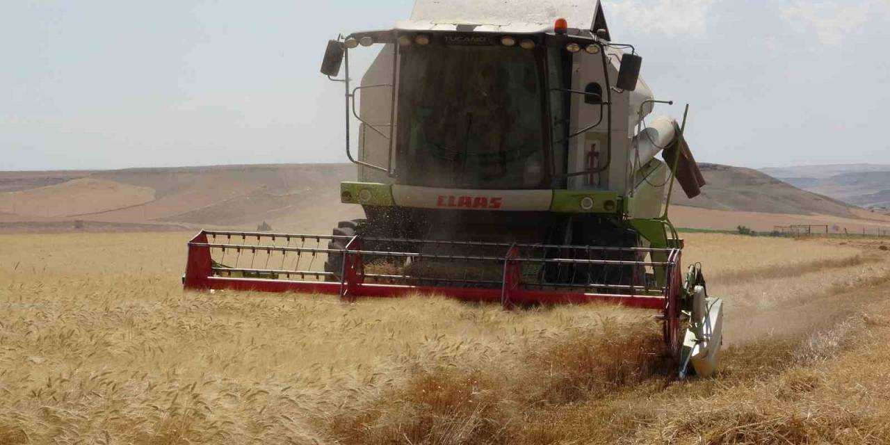Siirtli Çiftçinin 310 Bin Dekar Buğday Tarlasından Beklentisi 160 Bin Ton Üzeri