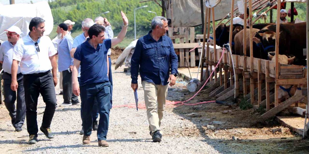 Yalova Belediyesi’nden Bayram Öncesi Mezarlıklarda Çalışma