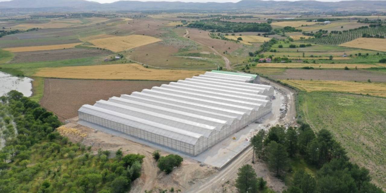 Elazığ Belediyesi Jeotermal Sera Sahasında Topraksız Tarıma Başladı