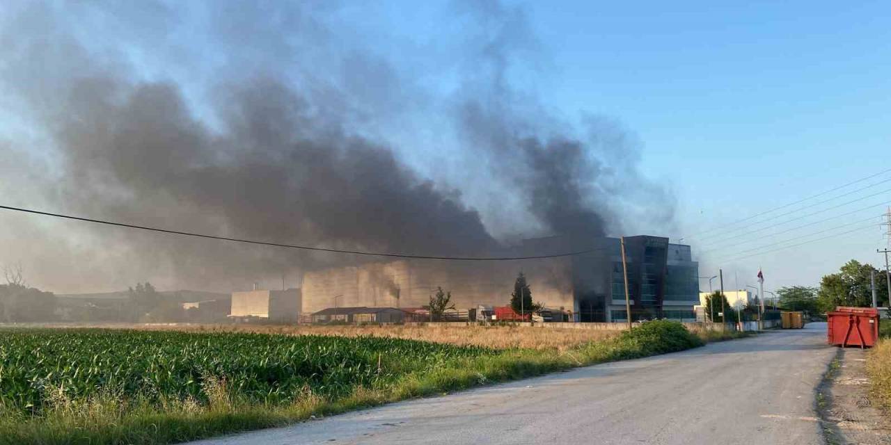Kocaeli’de Geri Dönüşüm Fabrikasında Yangın: 3 Kişi Dumandan Etkilendi