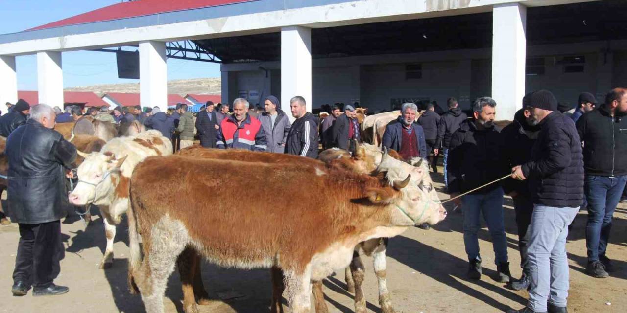 Bayburt’ta Kurban Bayramı Heyecanı