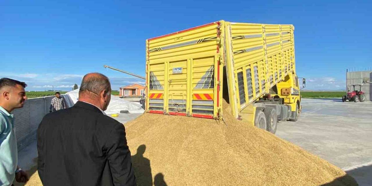 Karapınar’da Arpa Hasadına Başlandı