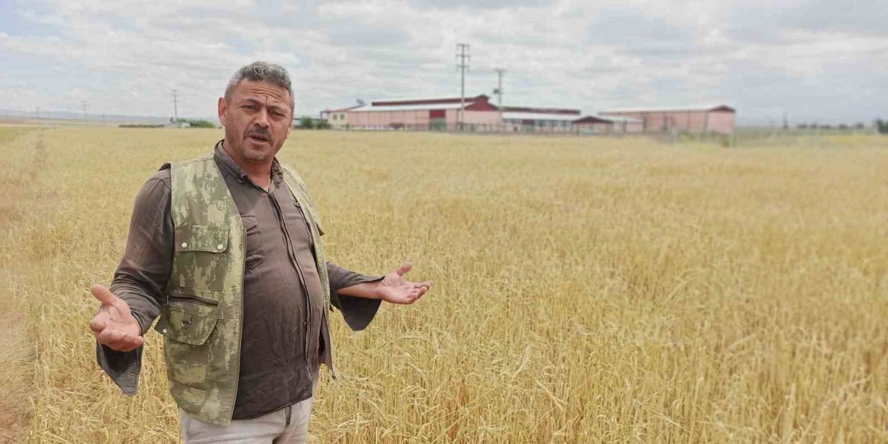 Dolu Yağışı, Çiftçinin Bir Yıllık Emeği Ve Alın Terini Götürdü