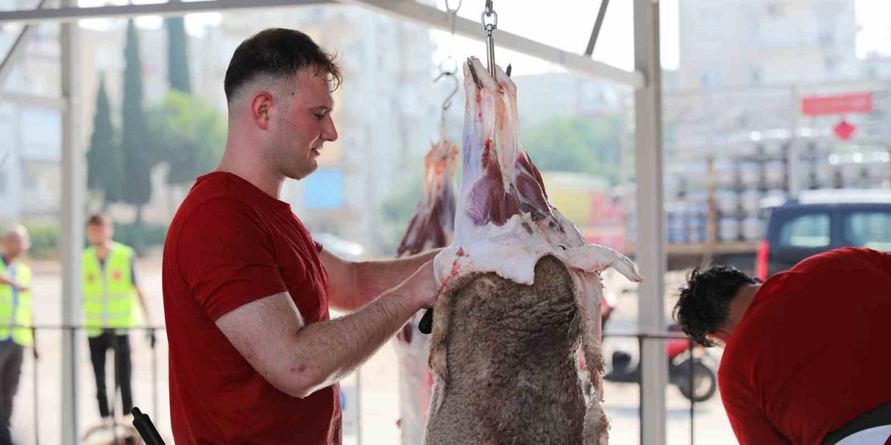 Büyükşehirden 3 Noktada Ücretsiz Kurban Kesimi