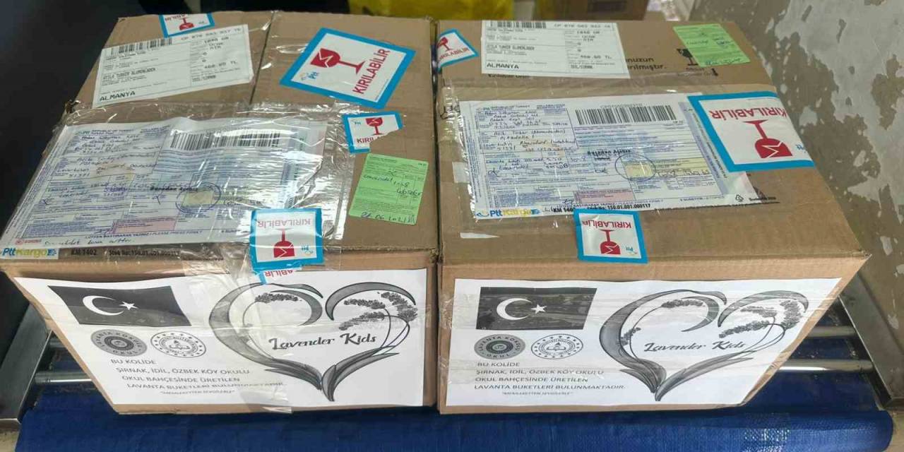 Şırnak’ta Köy Okulundan Almanya’ya İhracat