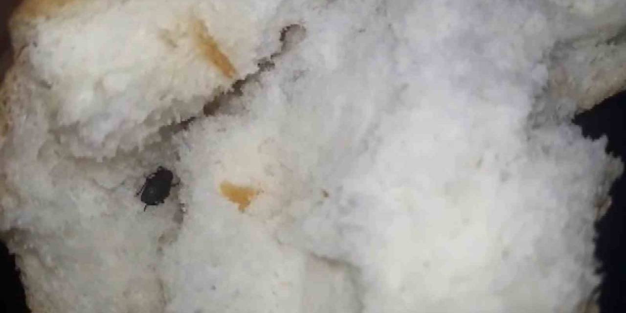 Ekmeğin İçerisinden Böcek Çıktı