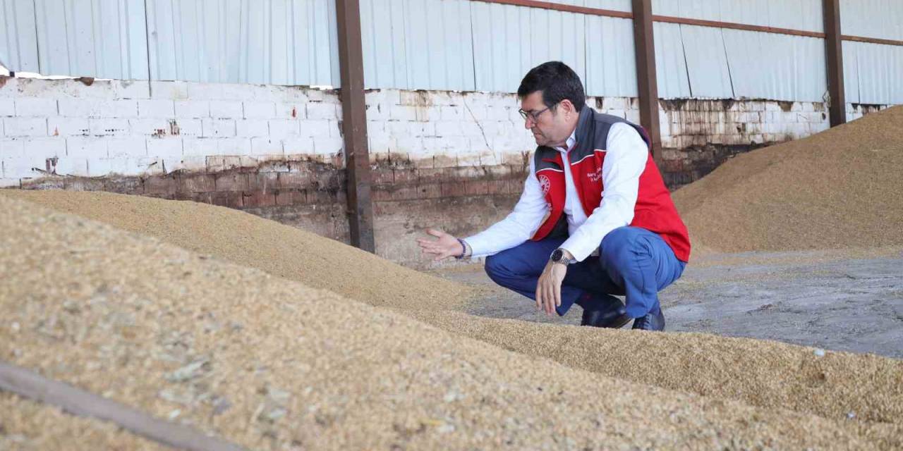 Muğla Tarım Ve Orman Müdürü Saylak; “kimsenin Ürünü Tarlada Kalmayacak”