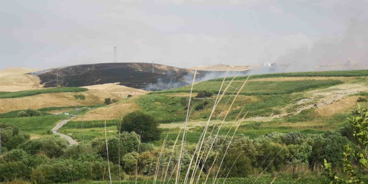 Batman’da Tarla Yangınında 400 Dönüm Buğday Küle Döndü