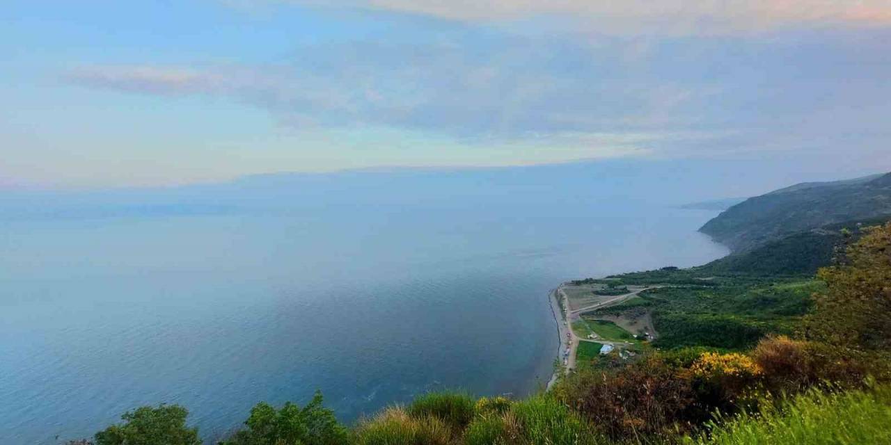 Tekirdağ’da Ormanda Piknik Yapmak Yasaklandı