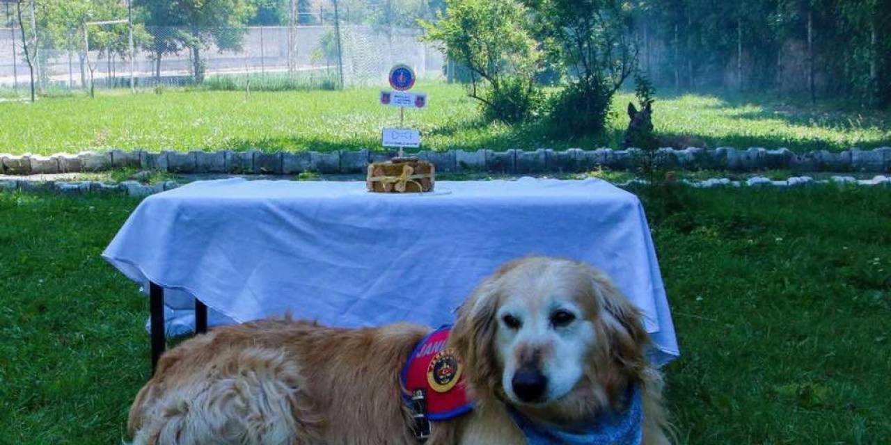 Uyuşturucu Arama Köpeği ‘altın’ Pasta Kesilerek Emekli Edildi