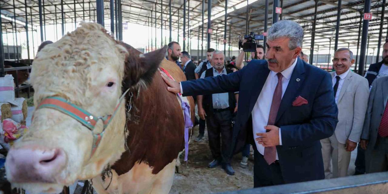 Kütahya’da Canlı Hayvan Pazarı Açıldı