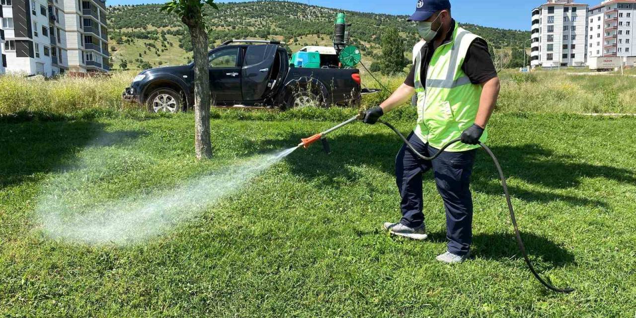 Bozüyük’te Haşere Mücadelesi Kene İlaçlaması İle Sürüyor