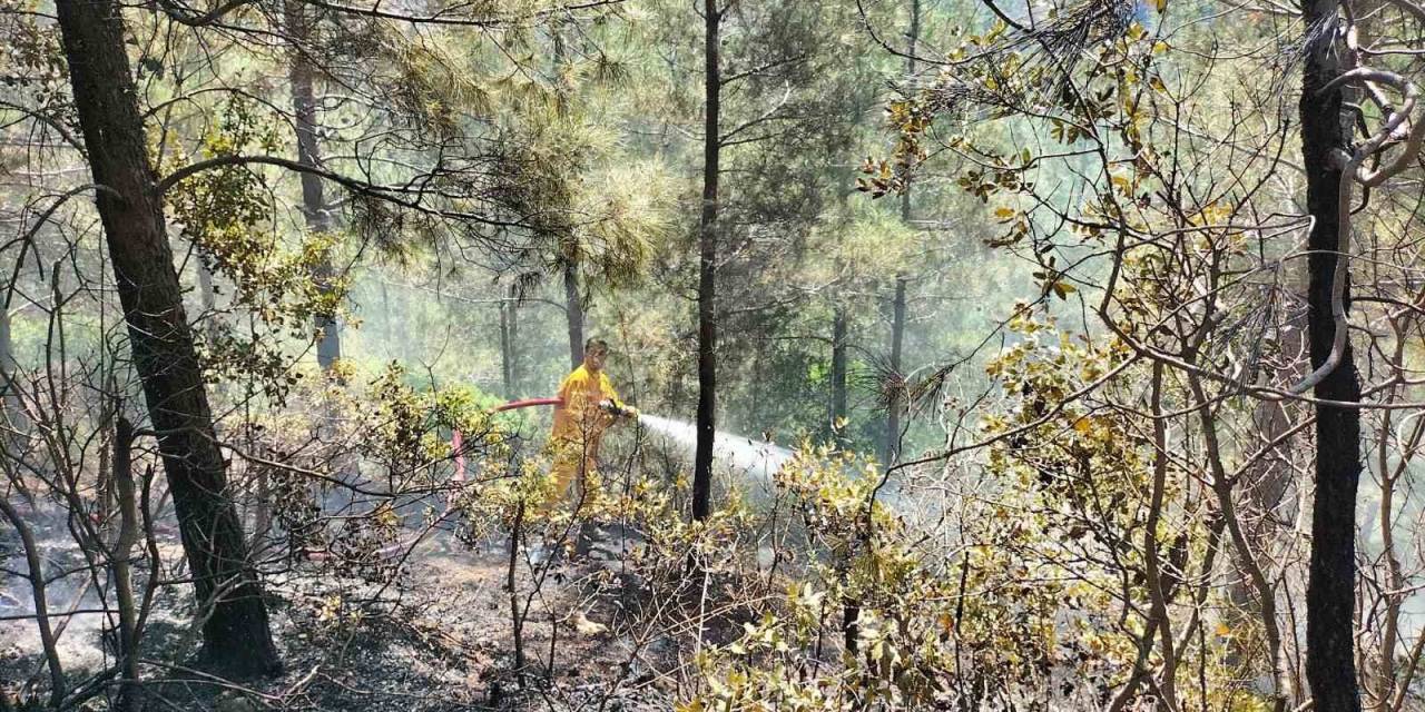 Osmaniye’de Orman Yangını, Ekipler Havadan Ve Karadan Müdahale Etti