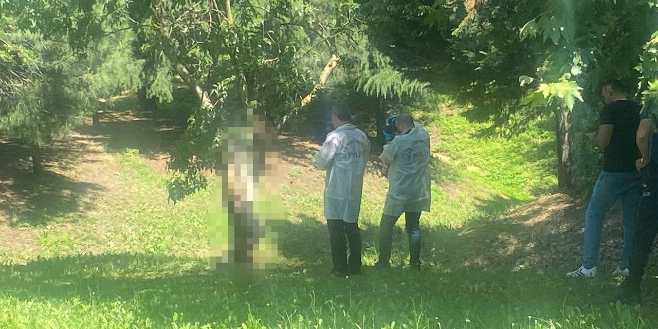 D100 Karayolunda Şüpheli Ölüm