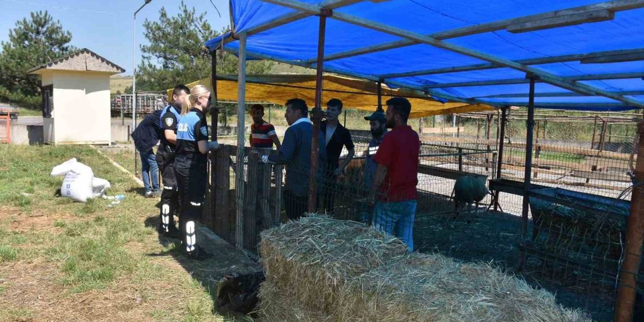 Kurban Pazarında Vatandaşlara Dolandırıcılık Uyarısı