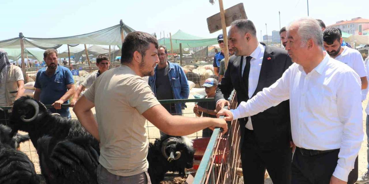 Başkan Yılmaz:"insan Sağlığına Zarar Verebilecek Alanlarda Kurban Kesmeyin"
