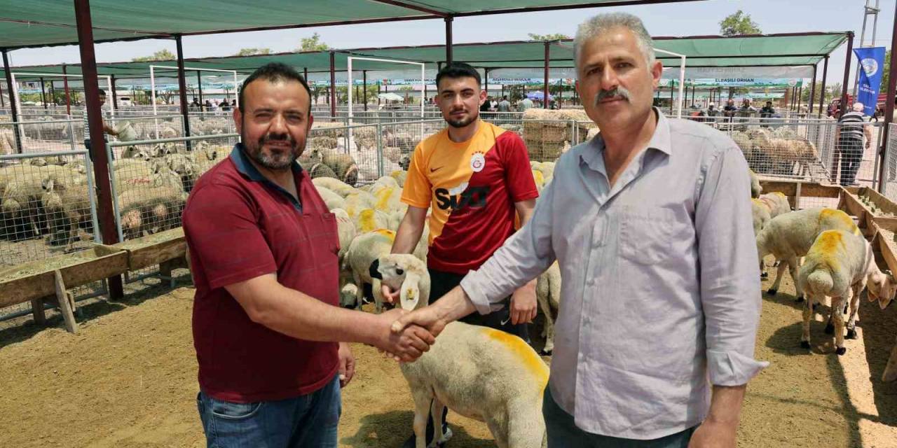 “talas Kurban Pazarı’nda Büyük Bir Hizmet Yapılmış”